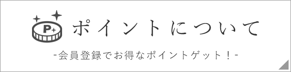 ポイントについて