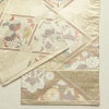 袋帯 六通柄 天井絵花鳥文 フォーマル用 正絹 古典柄 ベージュ_画像18