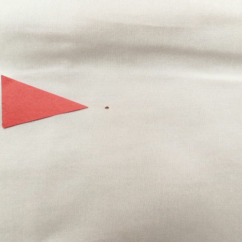 訪問着 良品 落款入り 志保里 正絹 金彩 木の葉・植物柄 袷仕立て 黄・黄土色_画像34