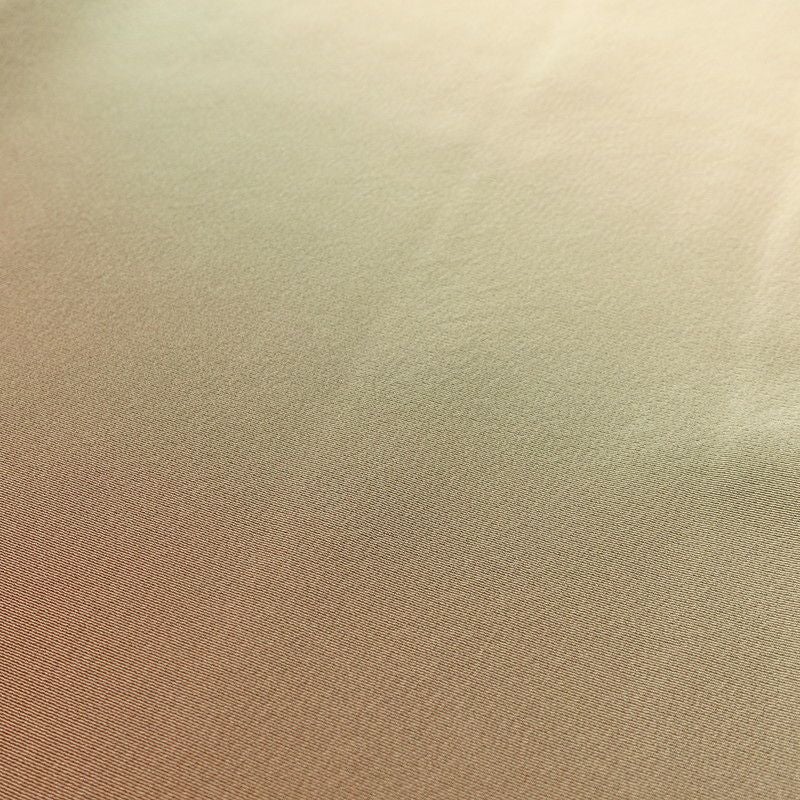 付け下げ 良品 三つ紋付き 縮緬 正絹 その他の柄 袷仕立て 身丈165.5cm 裄丈67cm 附下 グラデーション ベージュ_画像6