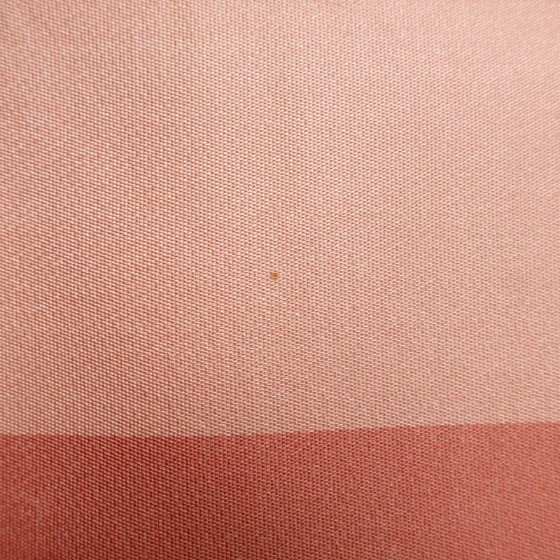 袋帯 六通柄 振袖用 正絹 蝶・昆虫柄 金・銀_画像19