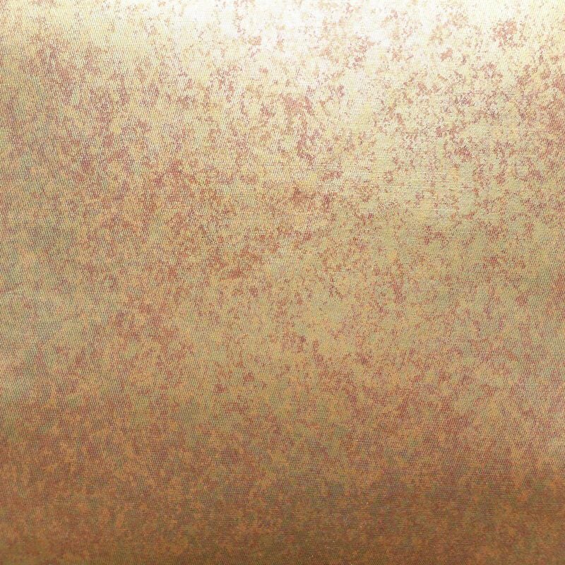 袋帯 六通柄 正絹 その他の柄 箔 金・銀_画像2