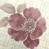 新品 浴衣 女性用 綿 平織 古典柄 浴衣 未使用品 花柄 薄紫_画像4