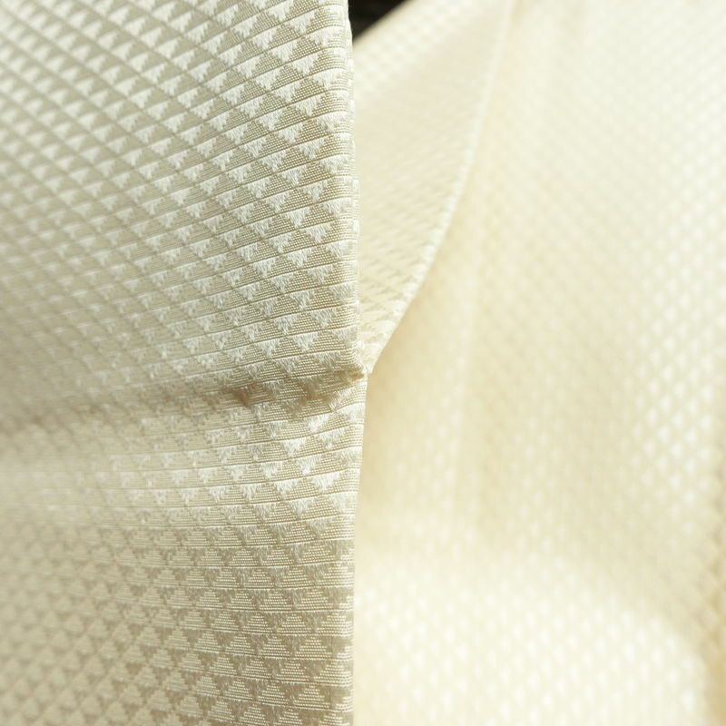 名古屋帯 太鼓柄 美品 落款入り 正絹 木の葉・植物柄 名古屋仕立て なごや帯 リサイクル帯 帯 シンプル_画像20