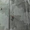 単衣 紬 正絹 蝶・昆虫柄 単衣仕立て 身丈153.5cm 裄丈63cm 紬着物 リサイクル着物 着物 グレー_画像6